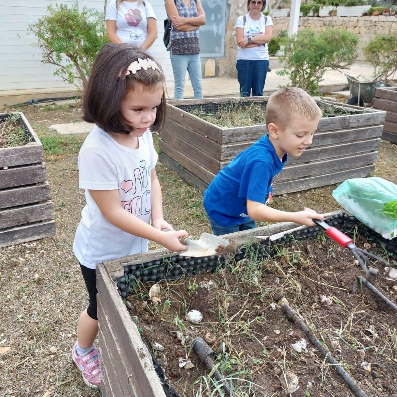 WhatsApp Image 2024-06-12 at 11.07.31